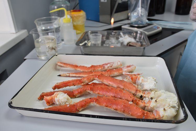 � ����� ��������� ���������� �����������: ����������� ���������