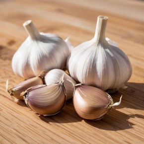 ��� ������ � ����� �������� ������: ������������ �������