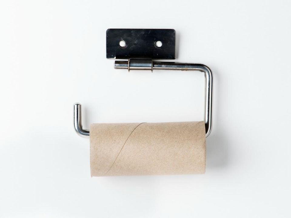 Туалетная бумага — неожиданный помощник для садоводов