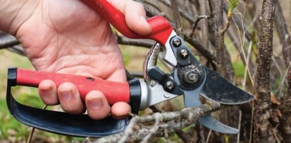 ��� ��������� �������� ����������: ������� ��������� ������ � ������ �����