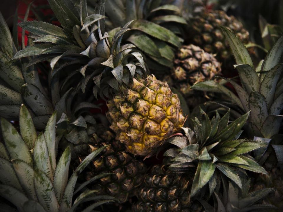 ����������� ��� ��� ����� � ������ ������ ��������� ���� ����