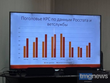 ������ ����������� ���� ������� ����� ������ �� 2025 ���