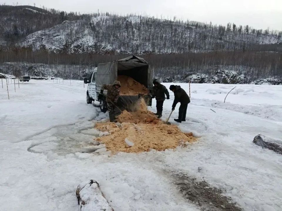 ������� ��������� �������� � ���-������� ������ �������