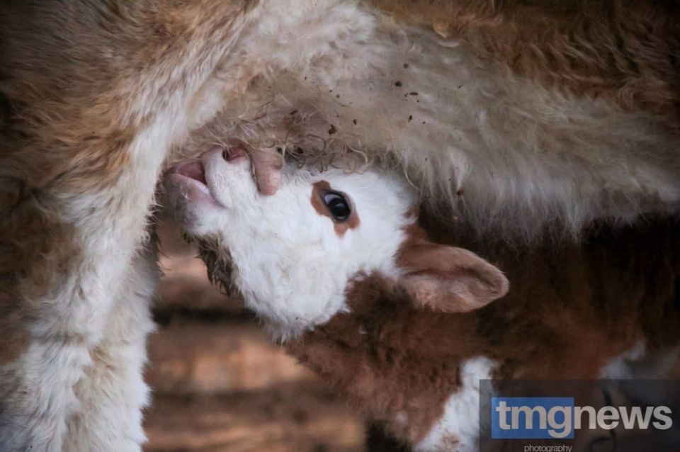 ���� ��������� ������ �������������� ������� �� ���������� ��������