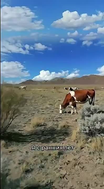 ��������� ���: #��������. ������� � �������, ������� ����� ������ � ����������� ��������� ���, ������� ���� ������� �� ���������� ����