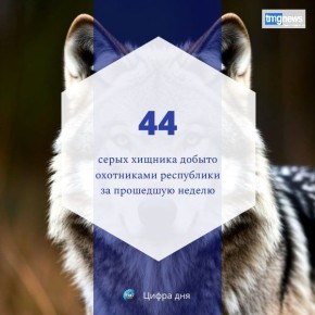 ��� �������� � ��������������� �������� �� ������ �������� ��������� ����, �� ������ � 31 ������ �� 6 ������� ������ 10 ������, � ��� ����� � ���-���������� ������ ����� 1 ����, � �������� - 3, ���-������� - 3...