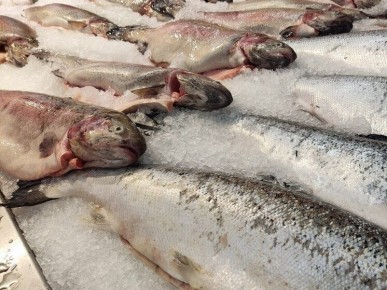 ��� ��������� ������� ������ ����: ������ �� ����������������