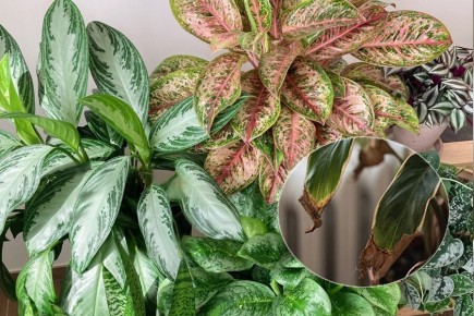 ������ � ����� ��������� ������ ������? ������� ������� � ������� ��������