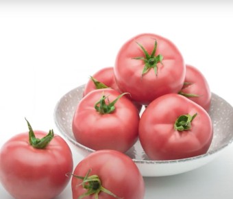 ����� ���� ���������: ������ ������ � �������� ������� � ������� ������