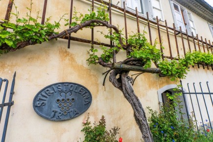 ������ ����������� ��� ������� ������� � ������ �� 2026 ���