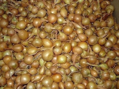 ��� ��������� �������� ��� ������ ��� ��������� ������� �������