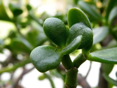 ������ ������� � ��������� � ����� ����� ��� �������� ����