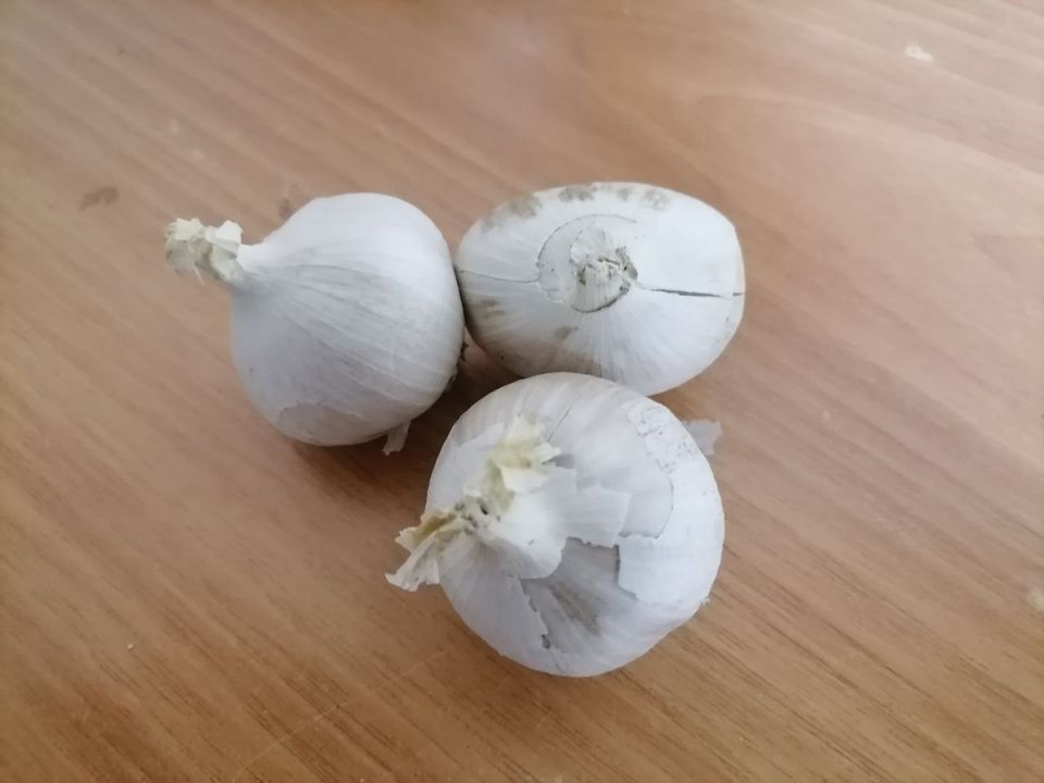 Весенние приключения с рокамболем: что делать в марте?