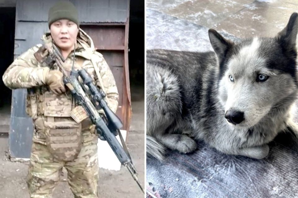 �������� � ������� ������: ϸ� ���� ������ ���� ��� �������, ��������� � ���