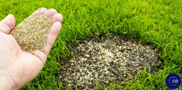 ��� ������������ �����: ������ �� ���������� ��������� � 2025 ����