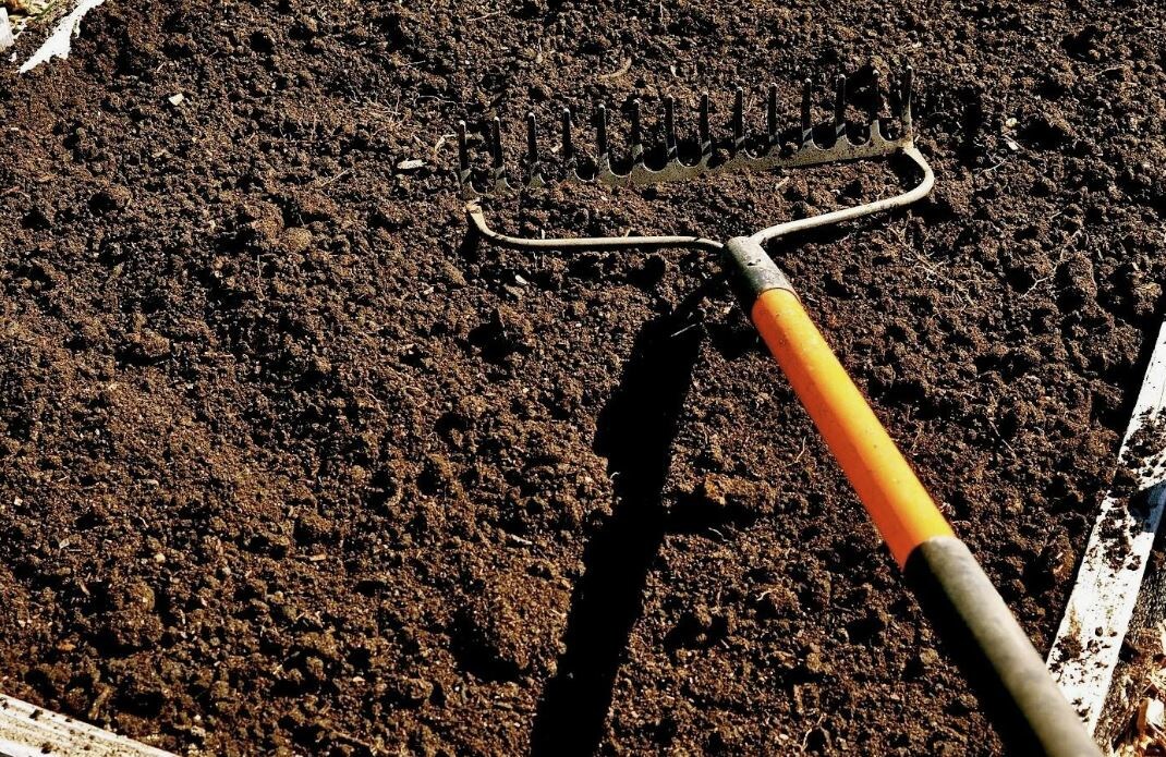 Восстановление плодородия почвы: 7 эффективных методов без перекопки