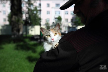 Инициатива депутатов: запрет на использование животных в качестве залога