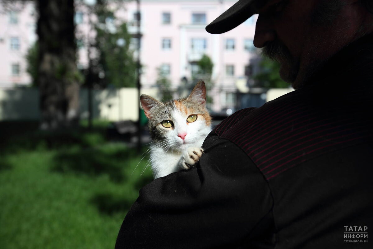 Инициатива депутатов: запрет на использование животных в качестве залога