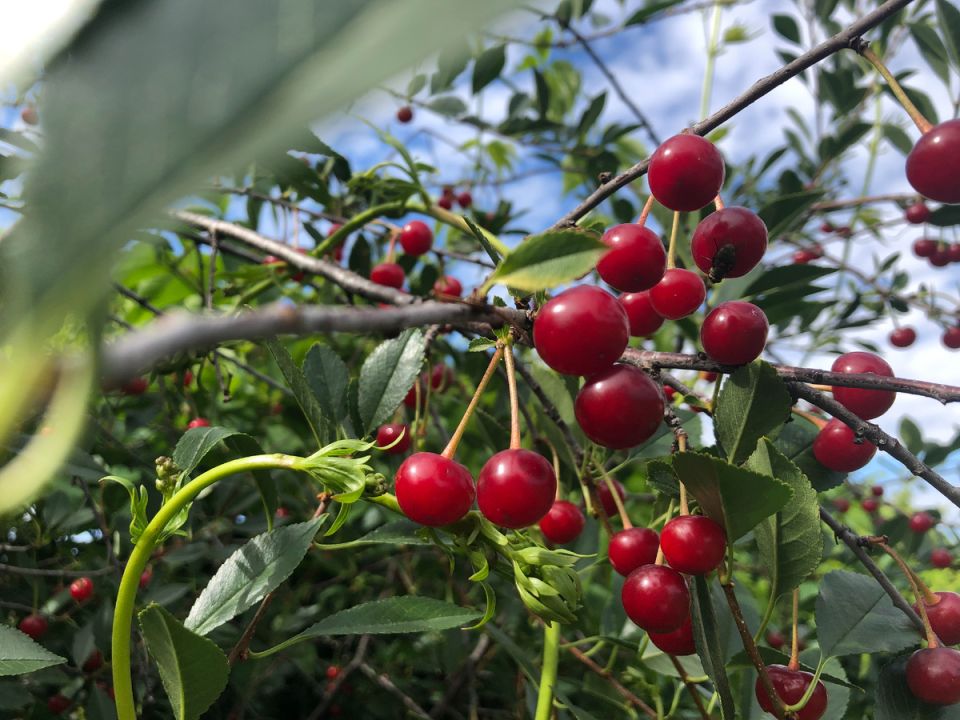 ��� ������� ��������� ����� ��� ����: �������� ������������