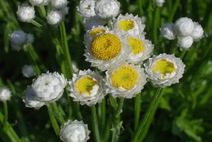 ������������ ����������� ��� ������ ����: 10 ������������ ���������