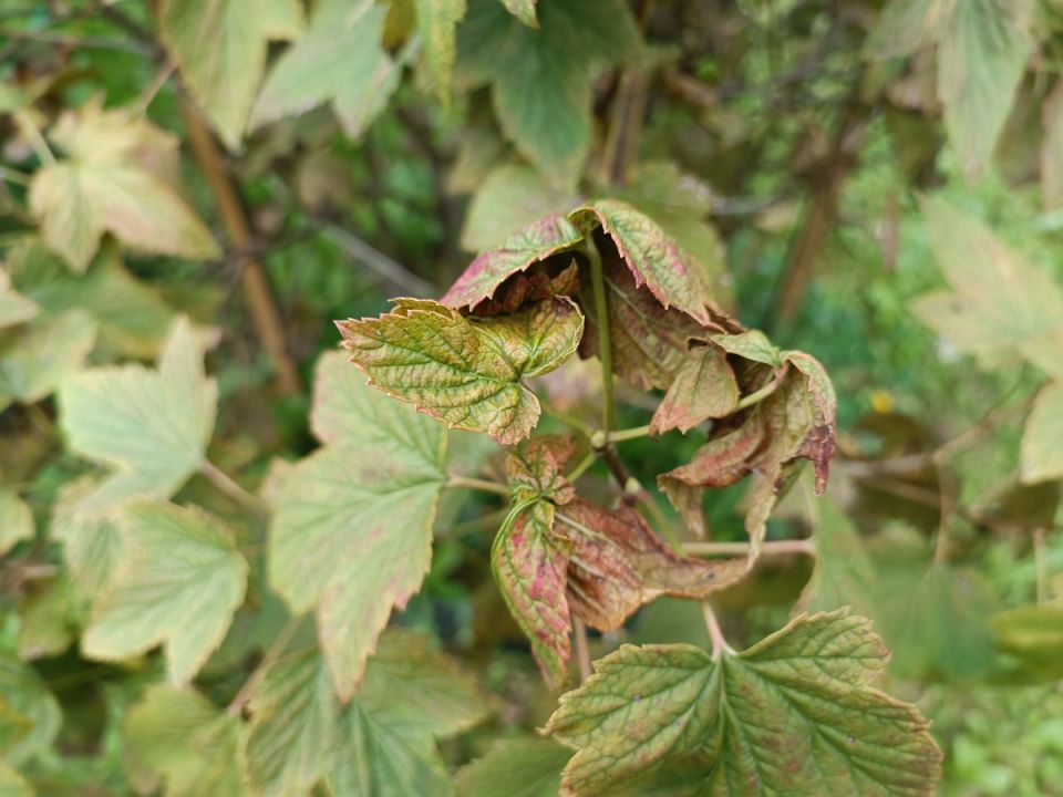 ��������� � �����������: ��� �������� ����� � ��������