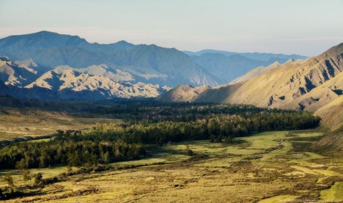 Глава Тувы поздравил земляков с наступающим праздником Шагаа