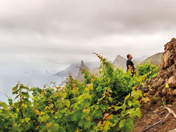 Тенерифе: вино с высоты гор и истории