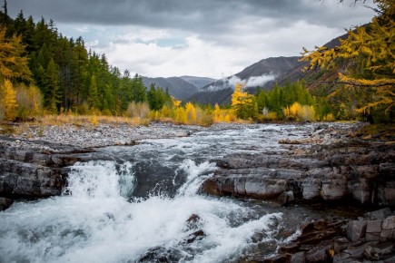 �� 40,2% �������� ���� ����� � ��������� ����������� ������ (���) � ������ 2026 ���� �� ��������� � ��� �� �������� ����� �����