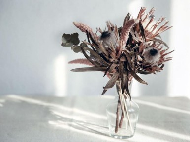 Как вернуть к жизни сухие цветы: полезные советы для каждой хозяйки