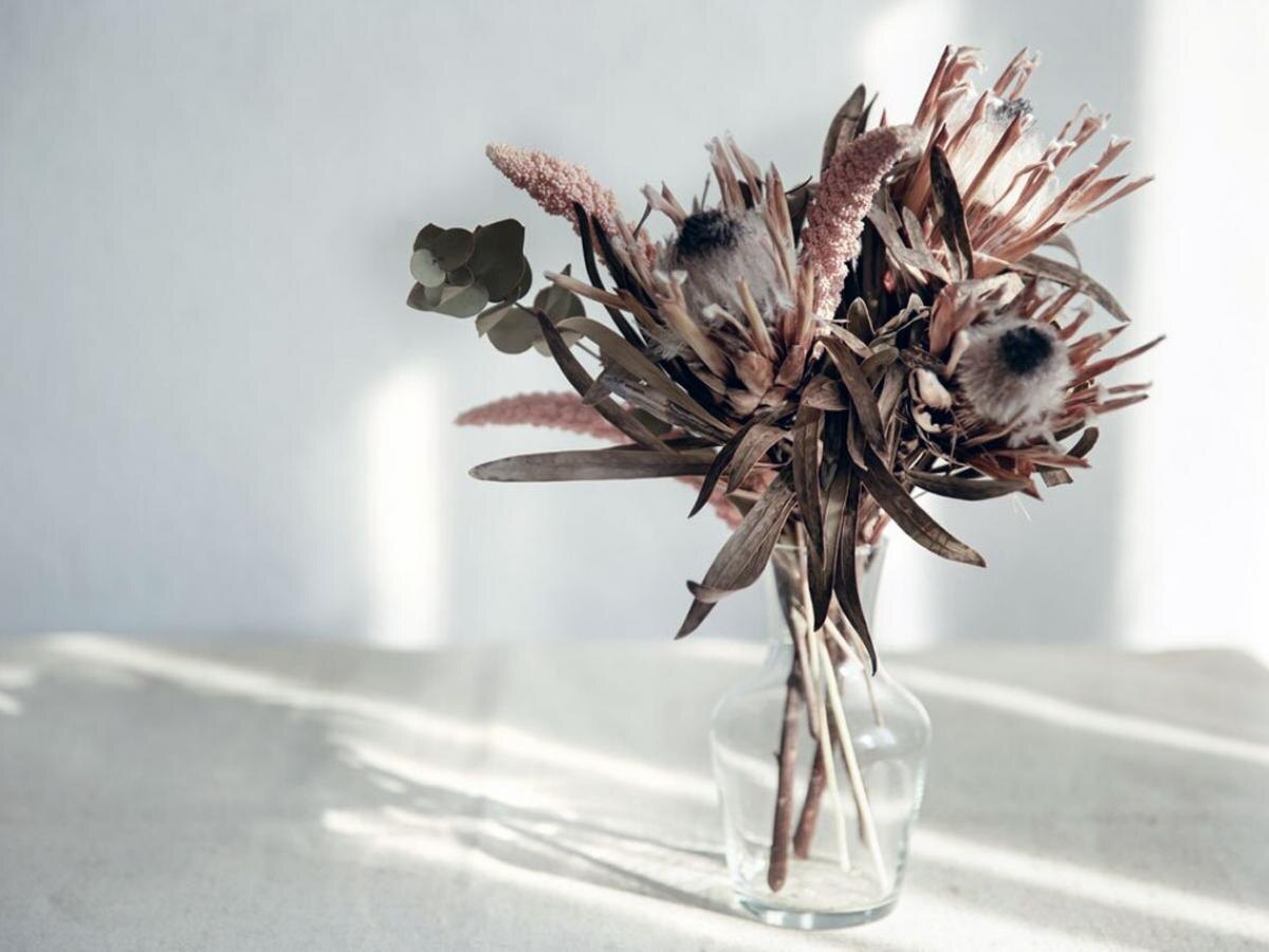 Как вернуть к жизни сухие цветы: полезные советы для каждой хозяйки