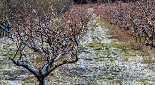 �������� ��������� ���������� �������� ������ ����� ������� � ������