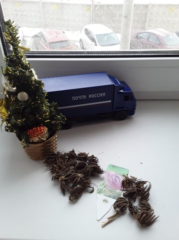 ����������� ������: ��� ��������� � ��������� ����������� � ����� ������