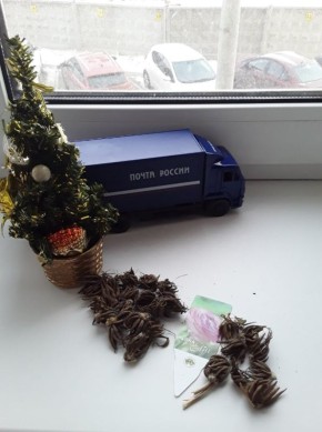 ����������� ������: ��� ��������� � ��������� ����������� � ����� ������