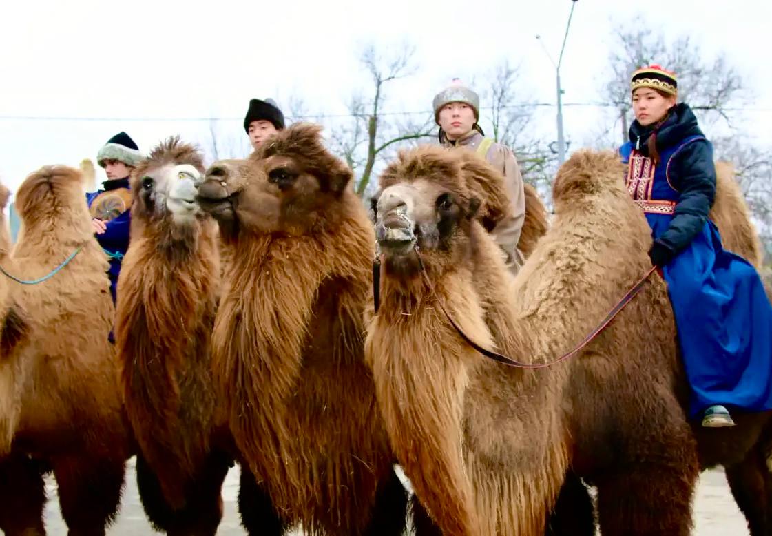 Ирина Волк: Друзья! Сегодня рубрика #ИсториясГеографией из Республики Бурятия, где отмечается праздник Сагаалган – так называется здесь буддийский Новый год Ирина Волк: Друзья! Сегодня рубрика #ИсториясГеографией из Республики Бурятия, где отмечается праздник Сагаалган – так называется здесь буддийский Новый год