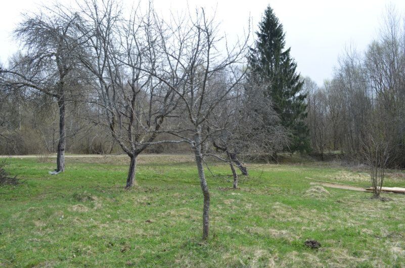 ����� ��� ����� ��� ��������� ����� � �����: ������� ��������� ������