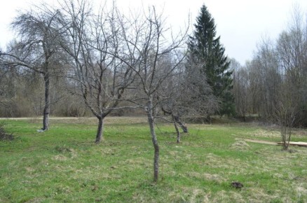 ����� ��� ����� ��� ��������� ����� � �����: ������� ��������� ������