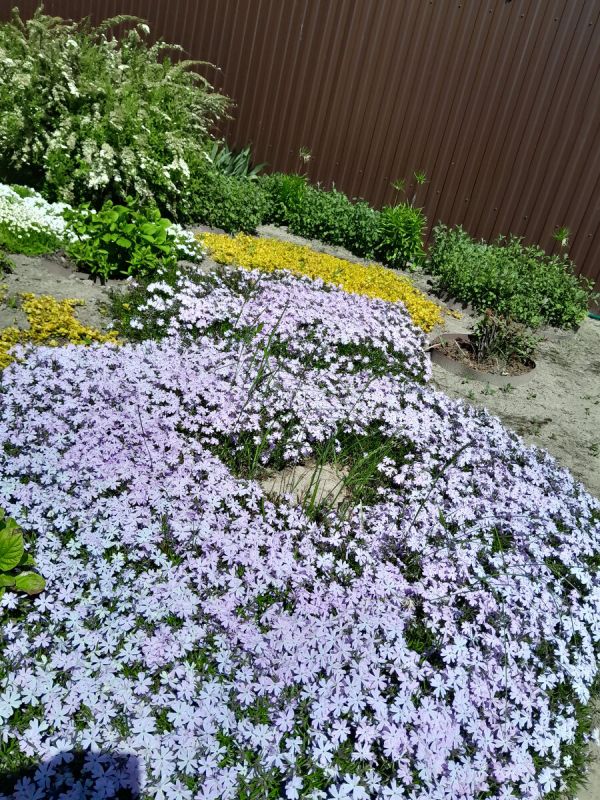 ���������� ������: ��������� ����� ��� ������ ����