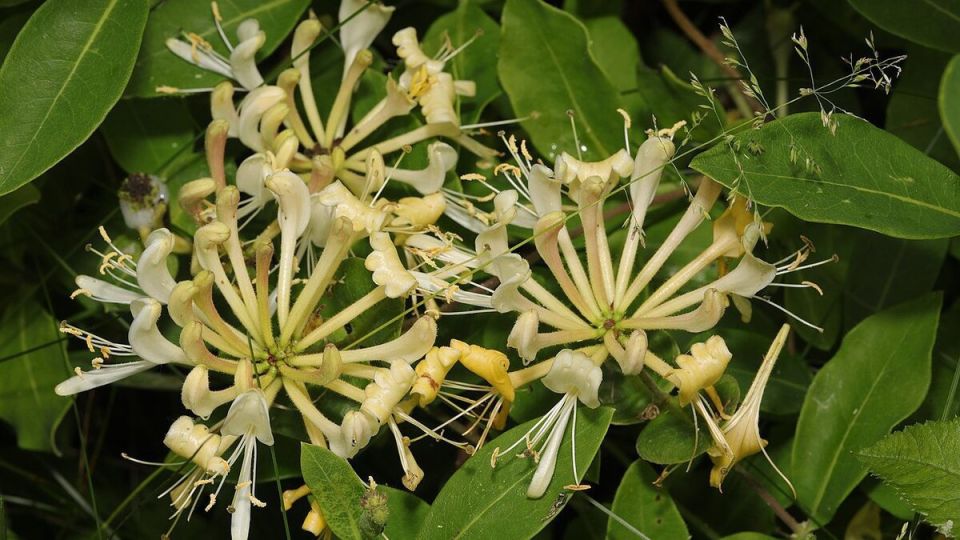 ��������� ���������: ������� ������ ��� ��������� ������