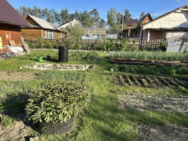 Как опилки могут стать суперфудом для вашего сада