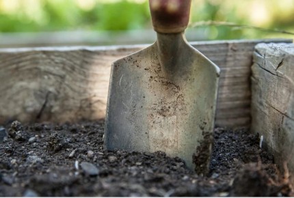 �������� �������� �������� ���������: ��� ������!