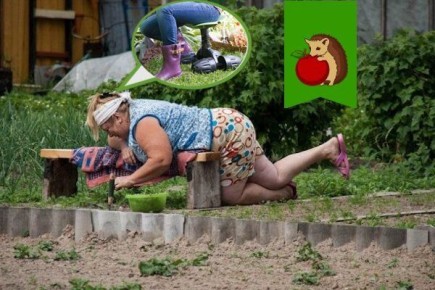 Умные решения для дачного труда: 5 полезных аксессуаров