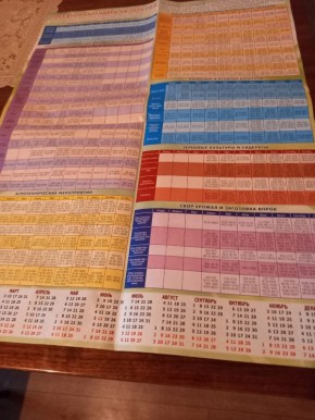 ��� ����� ������� � �������: �������� ������ � ������������