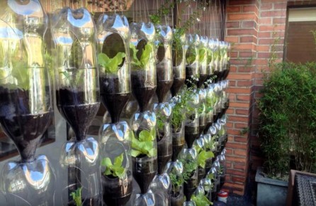 ������������ ������ �� ����������� �������: ������� ������ ���� � ������������ ������������