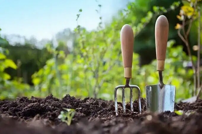 Необычный способ обогрева теплицы: как бутылки с водой спасают рассаду