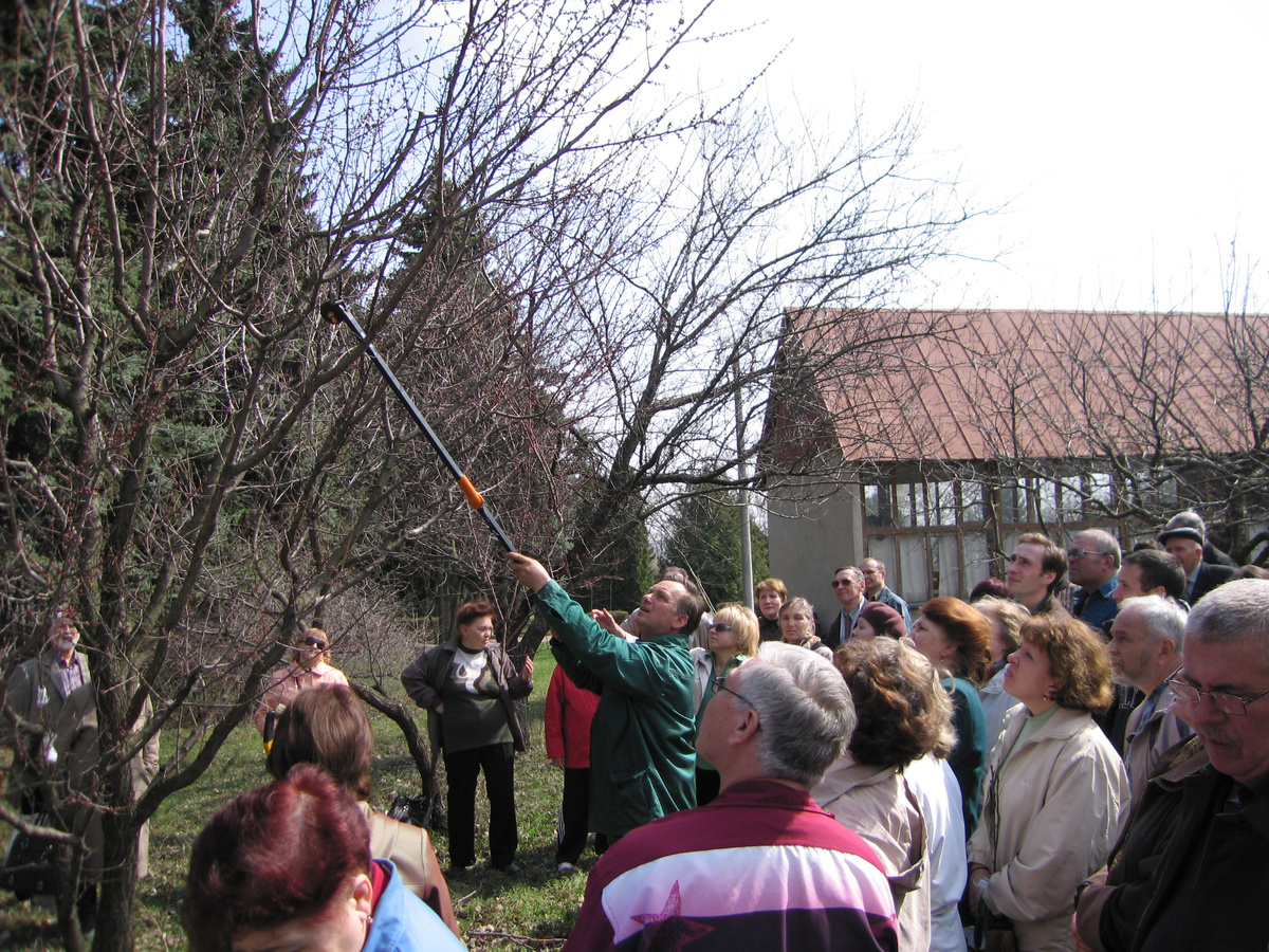 Когда же обрезать сад: советы и рекомендации