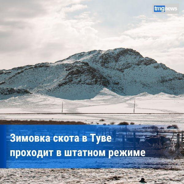 �������������� ����: �������� ����� �������� � ������� ������