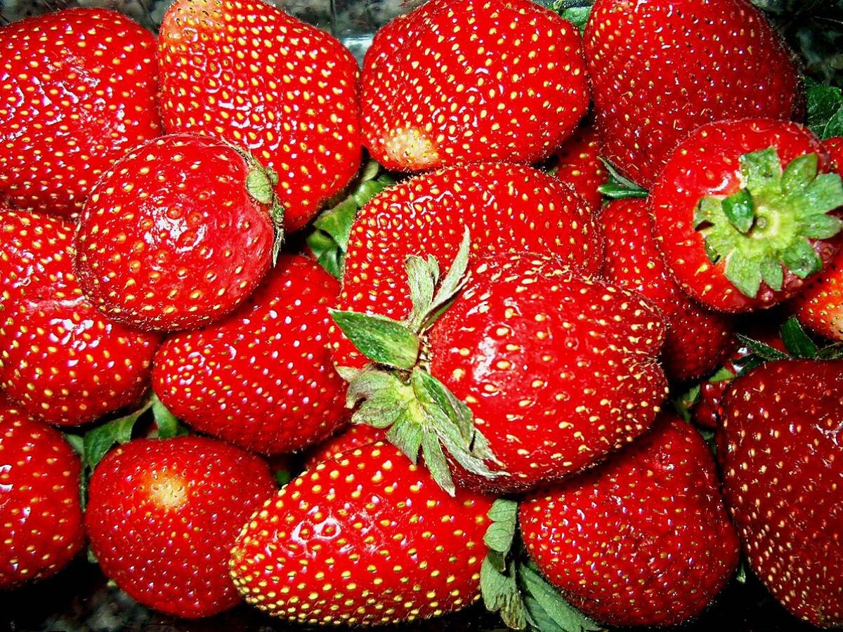 Как подкормить клубнику для невероятного урожая