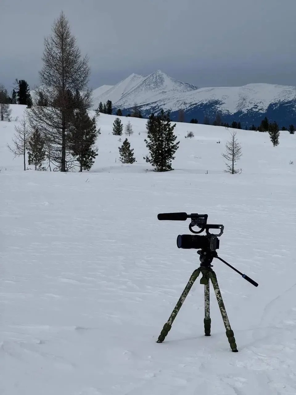 Телеканал «Россия-Культура» завершил съемки трилогии о коренных народах Тувы Телеканал «Россия-Культура» завершил съемки трилогии о коренных народах Тувы