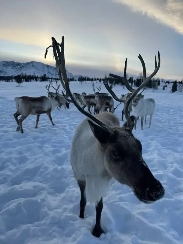 Телеканал «Россия-Культура» завершил съемки трилогии о коренных народах Тувы Телеканал «Россия-Культура» завершил съемки трилогии о коренных народах Тувы