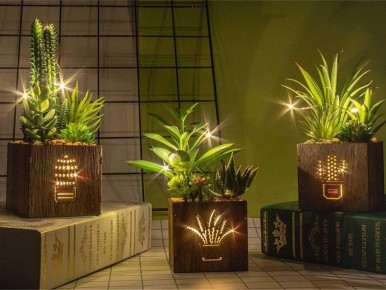 Секреты успешного ухода за комнатными растениями для новичков